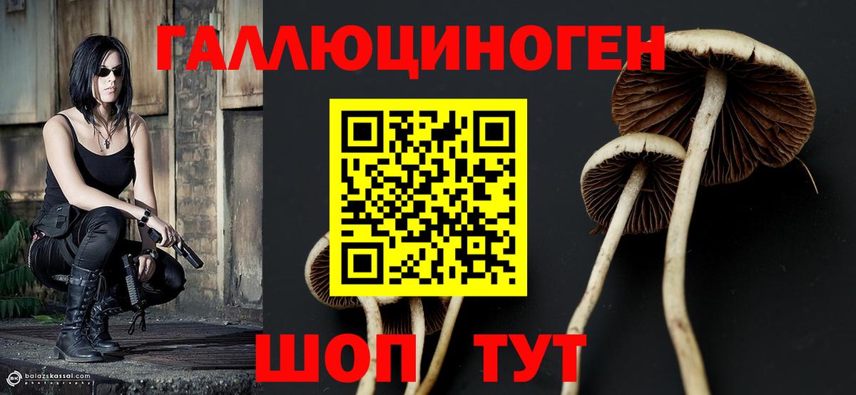 Галлюциногенные грибы GOLDEN TEACHER  Вход с VPN  Псилоцибиновые грибы мицелий  Троицк 